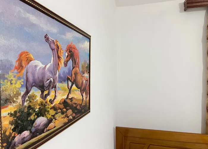 E&s Comfort Apartments-guestroom Appartement Berat